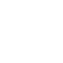 Vector 1 (1)